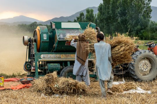 pakistan farmers